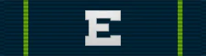 Navy Expert Pistol Shot Medal